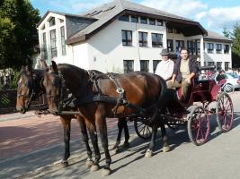 Szüreti felvonulás 2013