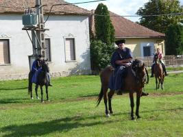 Szüreti felvonulás 2013