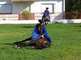 Szüreti felvonulás 2013