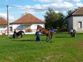 Szüreti felvonulás 2013