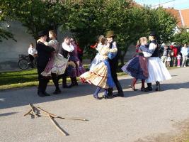 Szüreti felvonulás 2013