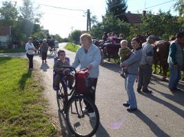 Szüreti felvonulás 2013