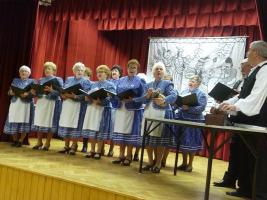 Dalárda Bál 2014