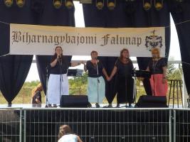 Falunap 2014