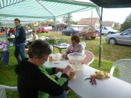 Lovasnap 2014