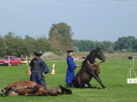 Lovasnap 2014