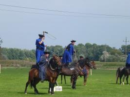 Lovasnap 2014