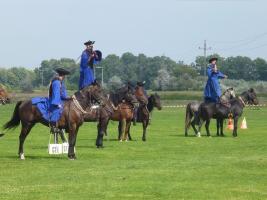 Lovasnap 2014