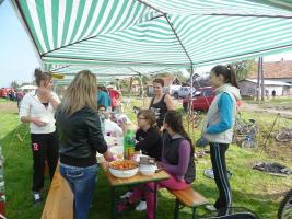 Lovasnap 2014