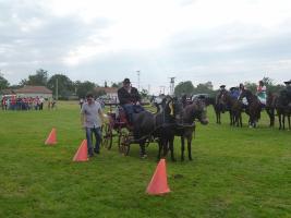 Lovasnap 2014