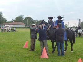 Lovasnap 2014
