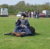 Lovasnap 2014