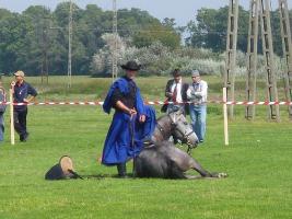 Lovasnap 2014