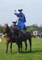 Lovasnap 2014