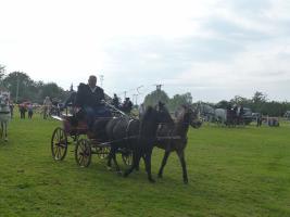 Lovasnap 2014