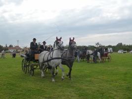 Lovasnap 2014