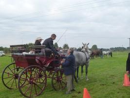 Lovasnap 2014