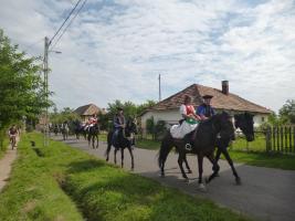 Szüreti felvonulás 2014