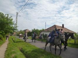 Szüreti felvonulás 2014