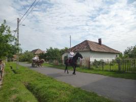 Szüreti felvonulás 2014