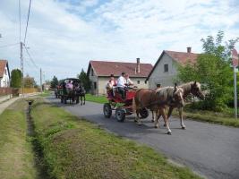 Szüreti felvonulás 2014