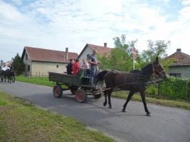 Szüreti felvonulás 2014