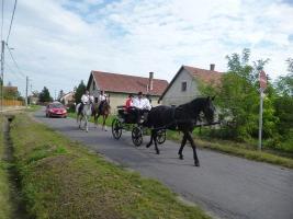 Szüreti felvonulás 2014