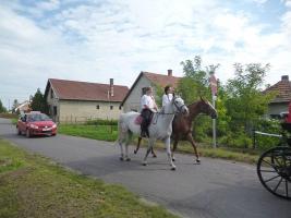 Szüreti felvonulás 2014