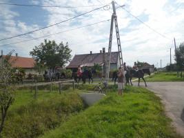 Szüreti felvonulás 2014