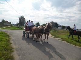 Szüreti felvonulás 2014