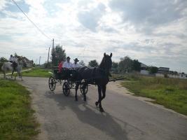 Szüreti felvonulás 2014