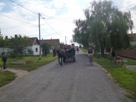 Szüreti felvonulás 2014