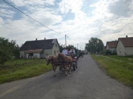 Szüreti felvonulás 2014