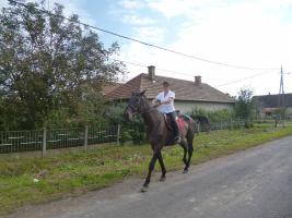 Szüreti felvonulás 2014