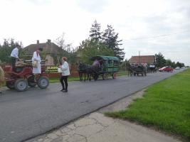 Szüreti felvonulás 2014