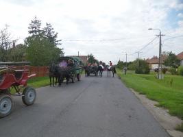 Szüreti felvonulás 2014