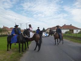 Szüreti felvonulás 2014