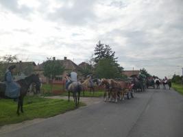 Szüreti felvonulás 2014