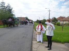 Szüreti felvonulás 2014
