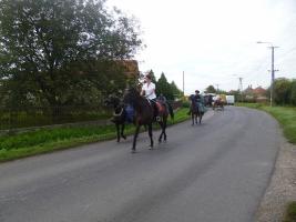 Szüreti felvonulás 2014
