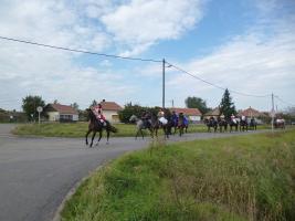 Szüreti felvonulás 2014