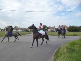 Szüreti felvonulás 2014