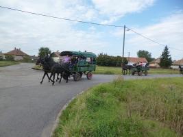 Szüreti felvonulás 2014