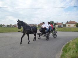 Szüreti felvonulás 2014