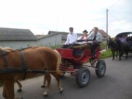 Szüreti felvonulás 2014