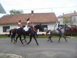 Szüreti felvonulás 2014