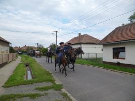 Szüreti felvonulás 2014