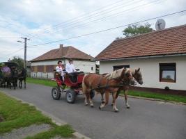 Szüreti felvonulás 2014