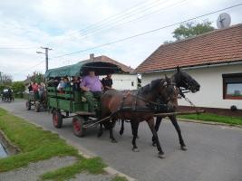 Szüreti felvonulás 2014