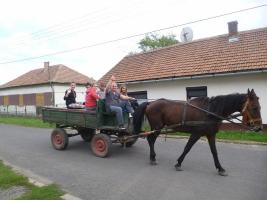 Szüreti felvonulás 2014